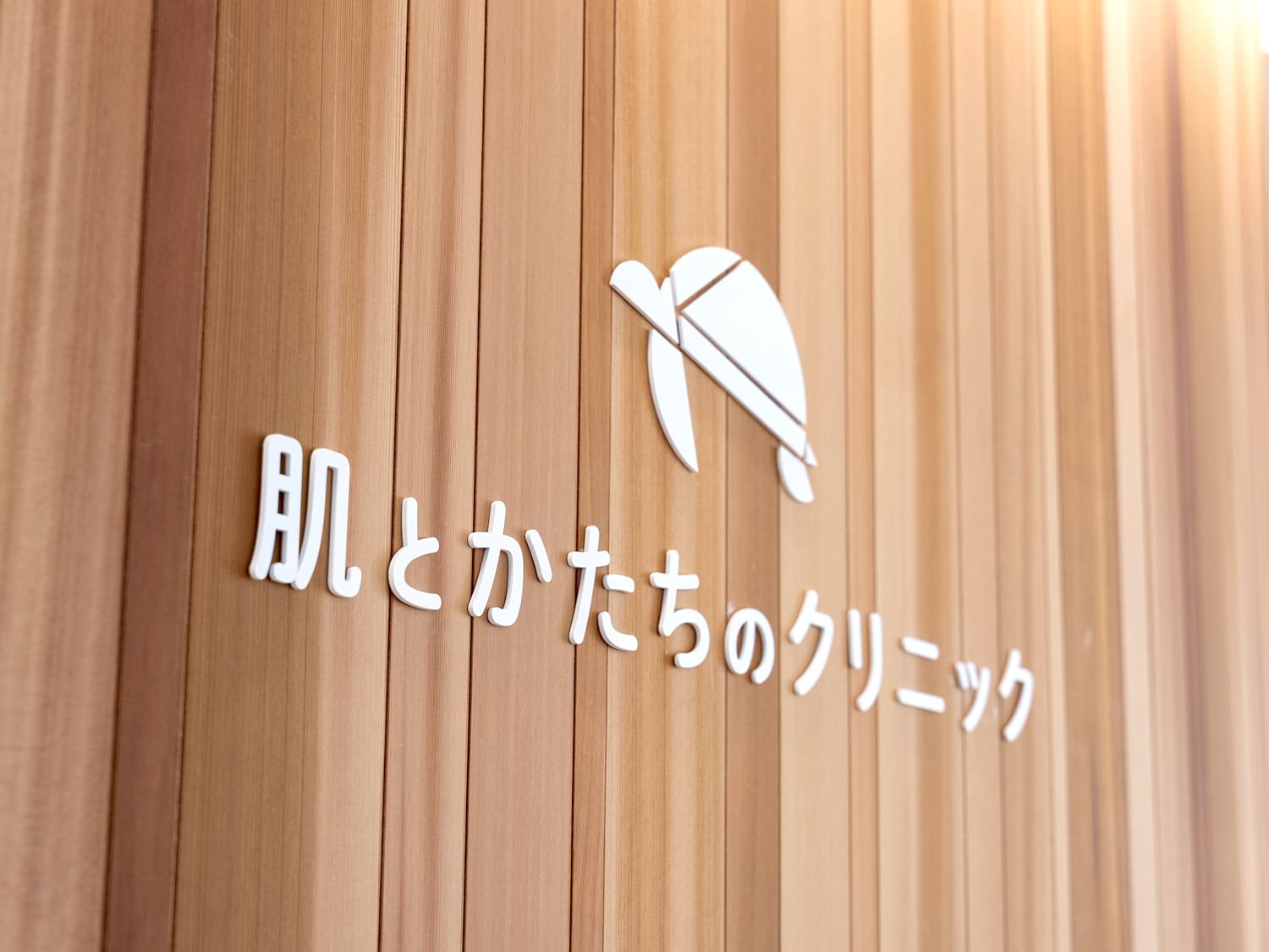 院内2｜沼津｜形成外科・皮膚科・美容外科｜肌とかたちのクリニック